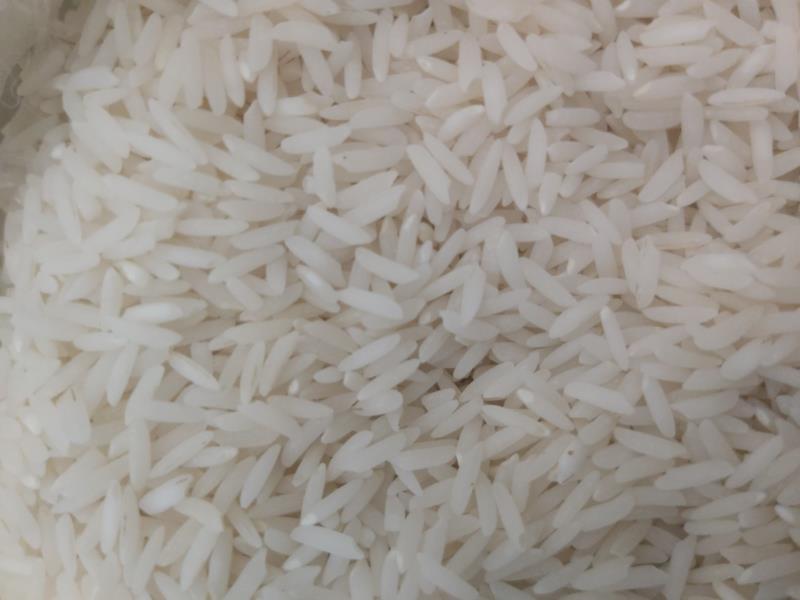 برنج طارم هاشمی ممتاز