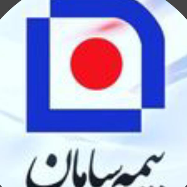 لوگوی نازران بینائی