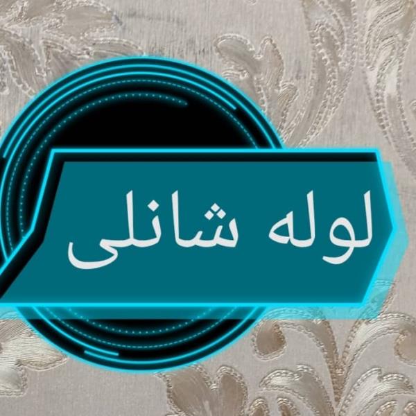 لوگوی فروشگاه عبدل زاده شانلی